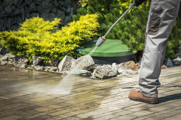 Animal Enclosure Cleaning in Middletown, KY