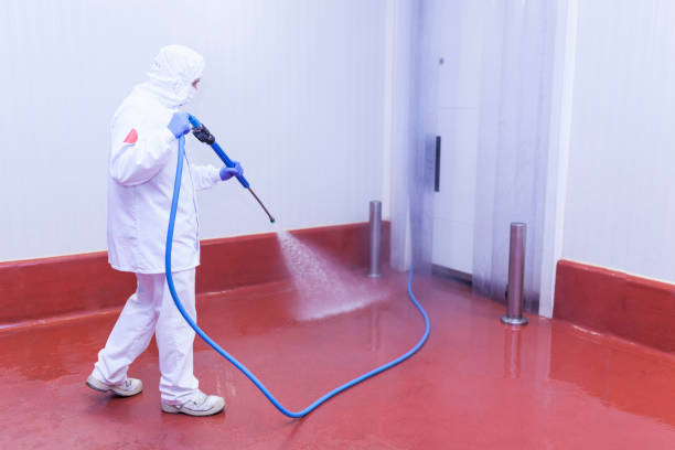 Best Solar Panel Cleaning  in Middletown, KY